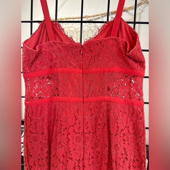 Lace Midi Dress - Picture 4 of 4